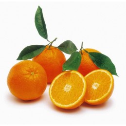برتقال عراقي